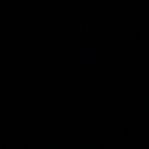 Meet your Posher, Simona